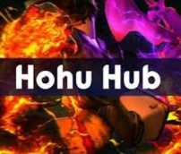 Hoho hub